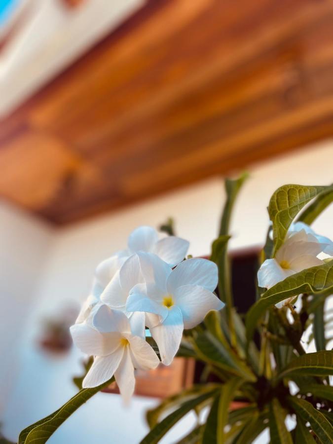 Beach Eco Stays Hotel Boutique Lagoinha Paraipaba Ngoại thất bức ảnh